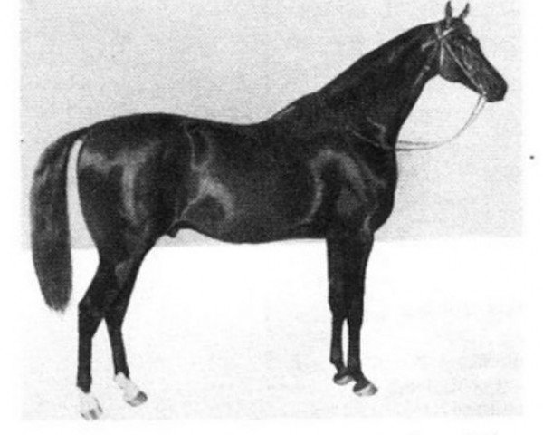 stallion Jellachich (Mecklenburg, 1844, from Defensive xx)
