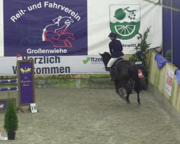 Reitturnier Großenwiehe 2022