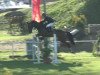 jumper Quick Quality (German Sport Horse, 2005, from Quality 9)