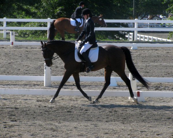 horse The Capts Reddie xx (Thoroughbred, 2002, from Saint Reddie xx)