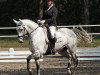 dressage horse Fifty Fifty 29 (Westphalian, 2002, from Future)