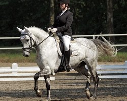 dressage horse Fifty Fifty 29 (Westphalian, 2002, from Future)