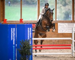 Springpferd Chellika Magic CH (Schweizer Warmblut, 2014, von Kannan)