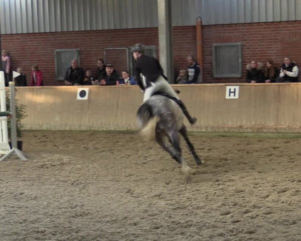 Reitturnier Ahaus 2022