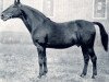 stallion Flavius (Hanoverian, 1915, from Fling)