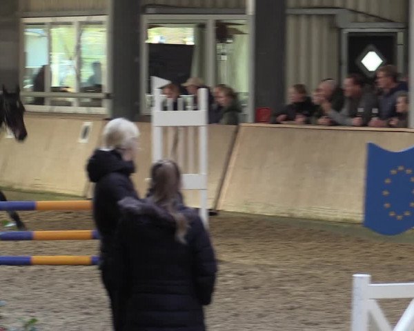 Reitturnier Ahaus 2022