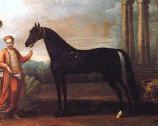 Deckhengst Leedes Arabian ox (Araber, 1686)