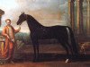 horse Leedes Arabian ox (Arabian, 1686)