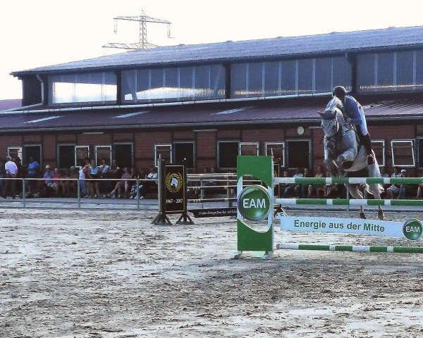 stallion Chereon (Hanoverian, 2011, from Clinton)