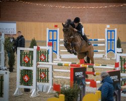 jumper Bezaubernde Gynnie (Holsteiner, 2014, from Baloubet du Rouet)