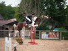 broodmare RUB Sirius Fly (German Warmblood, 2016, from Nebrasco)