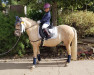 dressage horse Nordstern 106 (unknown, 2009)