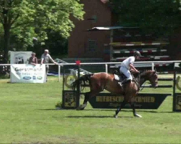 jumper Arthos 111 (German Sport Horse, 2005, from Accusé)