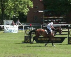 jumper Arthos 111 (German Sport Horse, 2005, from Accusé)