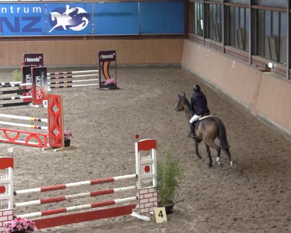 Reitturnier Osterholz 2022