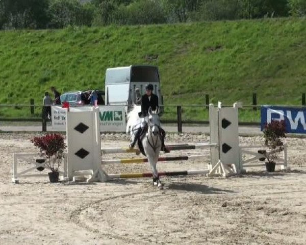 dressage horse Ascalon M (German Riding Pony, 1996, from Agral)