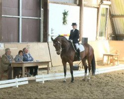 dressage horse Camfire (Westphalian, 2001, from Cordobes II)