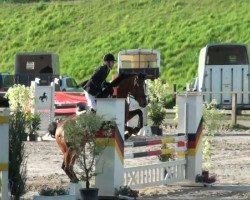 jumper Lola 221 (Oldenburg show jumper, 2002, from Lando)