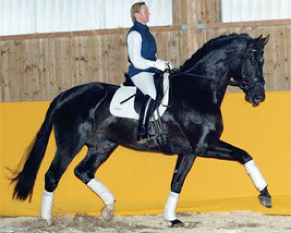stallion Wolkenstern (Oldenburg, 2001, from Wolkentanz II)