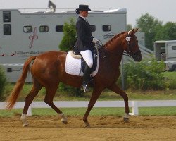 Pferd Quantana (Deutsches Sportpferd, 2006, von Quando-Quando)