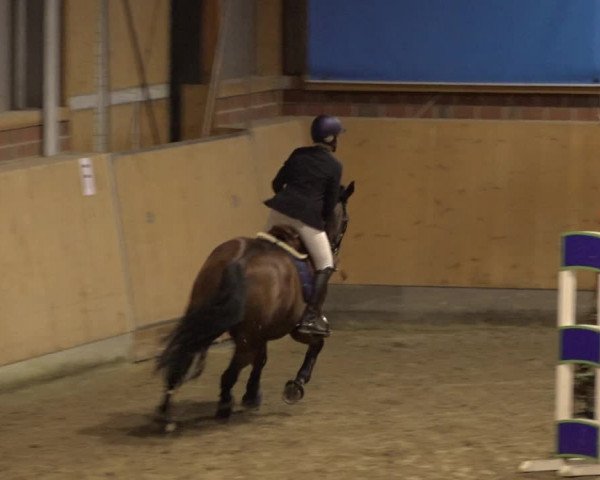 Reitturnier Osterholz 2022