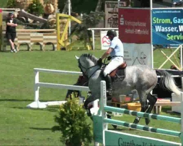 broodmare Clara (German Sport Horse, 2004, from Chello II)