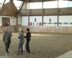 dressage horse Lollo Rosso 6 (Westfale, 2008, from Lord Loxley I)