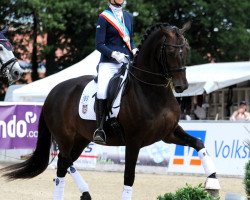 broodmare Donnerfee 61 (Mecklenburg, 2011, from D'Olympic)