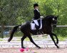 Dressurpferd Royal Finesse 2 (Deutsches Reitpony, 2008, von Royal Diamond)