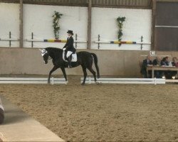 dressage horse Mona Lisa 359 (Oldenburg, 2003, from Mon Dieu)