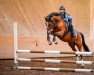 jumper Heiligenberg's Alfi (German Riding Pony, 2008, from Charm of Heiligenberg)