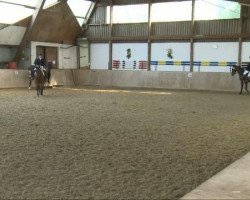 dressage horse Princess of Ahrenshop (Hanoverian, 1999, from Prince Thatch xx)