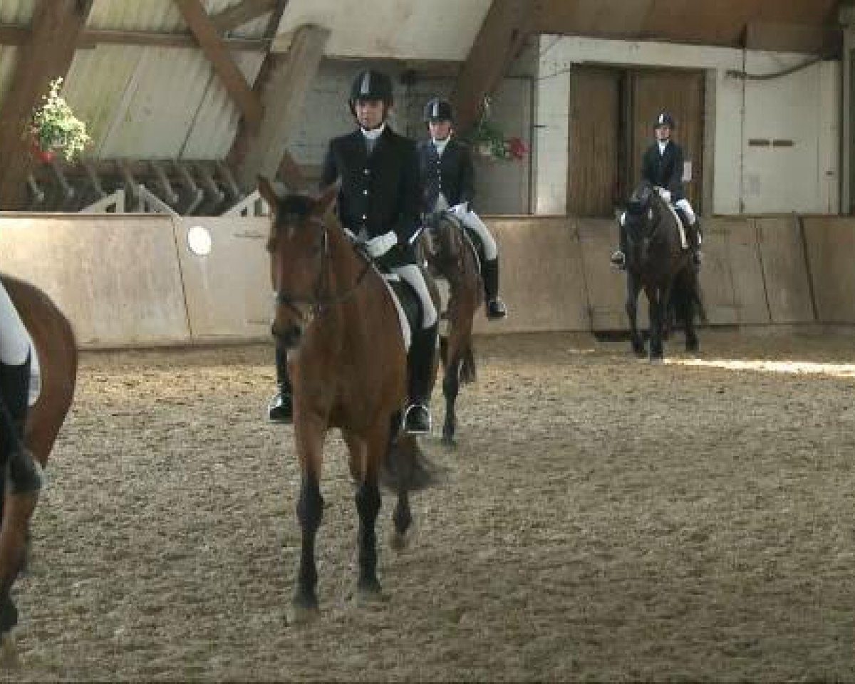 Springpferd Loretto K. (Westfale, 1991, von Lord Caletto)