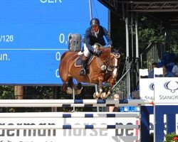 jumper Goldeneye 18 (German Sport Horse, 2010, from Gepsom)