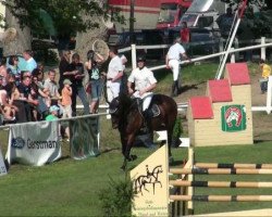 broodmare Sally 565 (German Sport Horse, 2003, from Accusé)