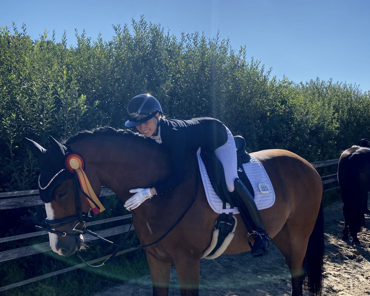 dressage horse Lisandro 11 (Westphalian, 2011, from Lissaro)