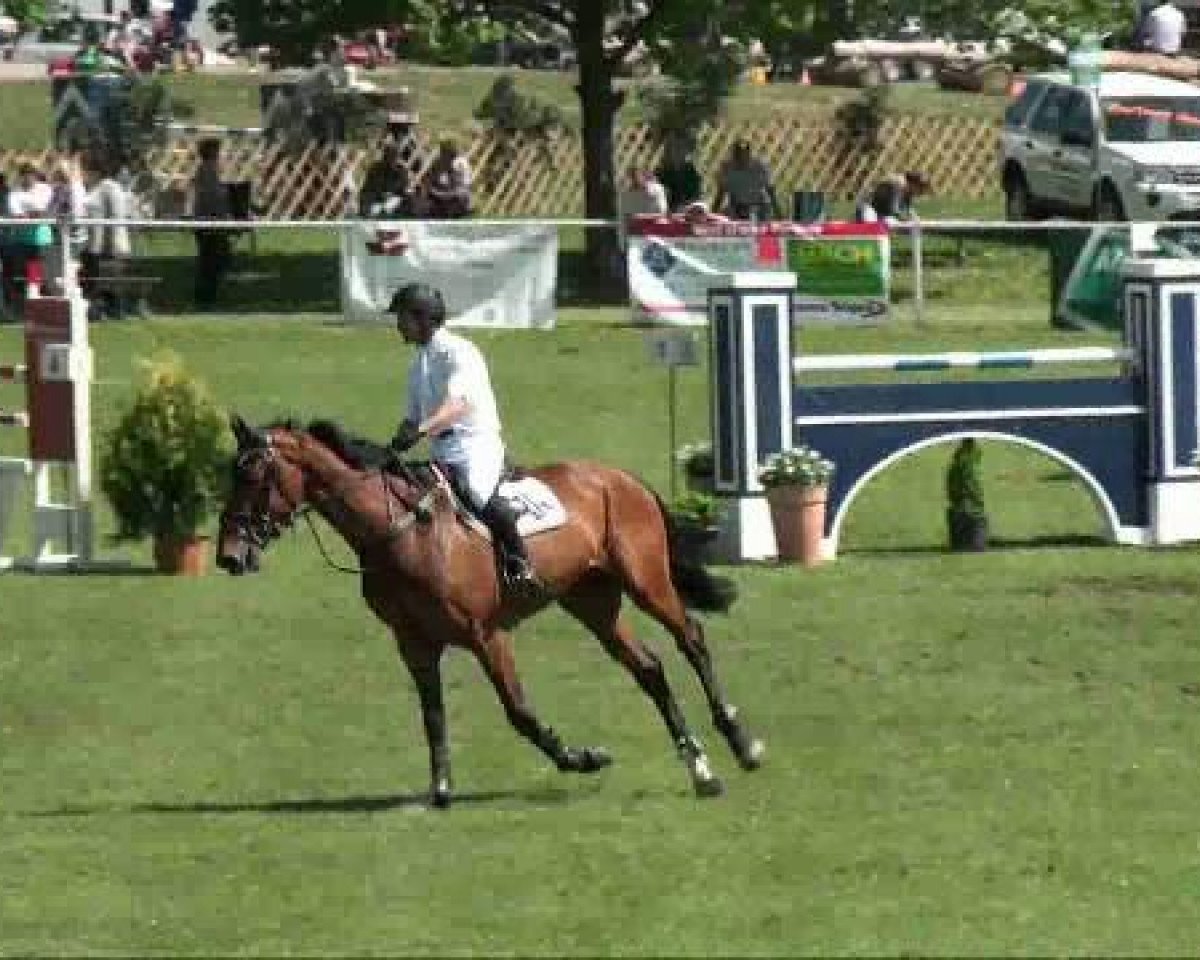 broodmare Lisa 1037 (KWPN (Royal Dutch Sporthorse), 2003, from Lord Z)