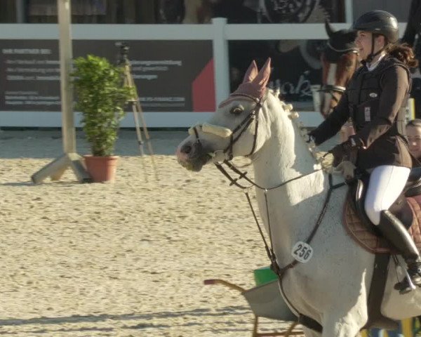 Springturnier Memmingen 2021