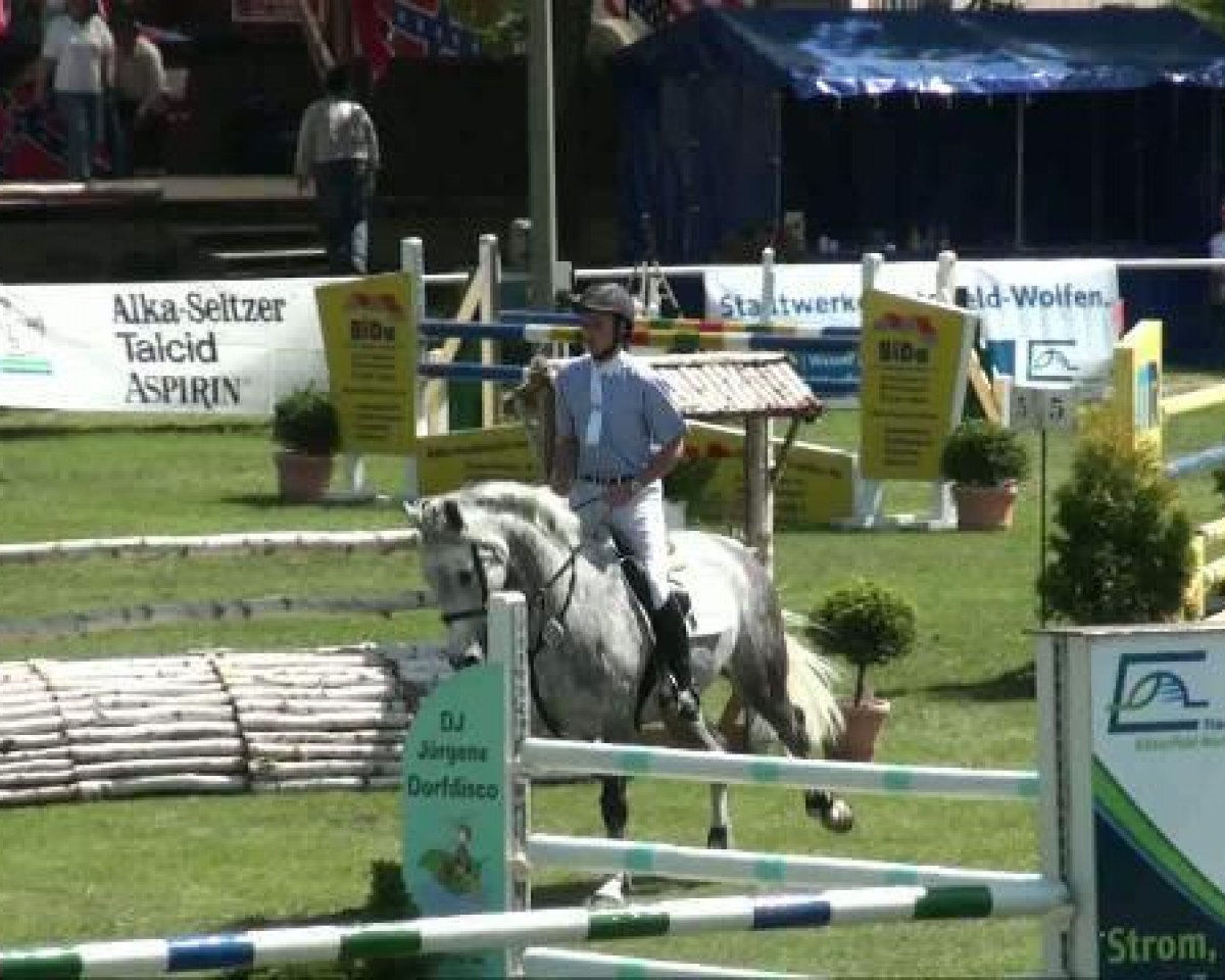 jumper Luna 1175 (German Sport Horse, 2003, from Levisto Z)