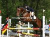 jumper Let's go 17 (Hessian Warmblood, 1996, from Lone Star)