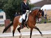 dressage horse Dioress H (Rhinelander, 1998, from Donquestador)