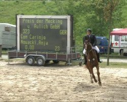 Springpferd Easy Jumping (Westfale, 2002, von Ehrentanz I)