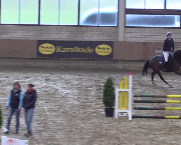 Reitturnier Oelde 2022