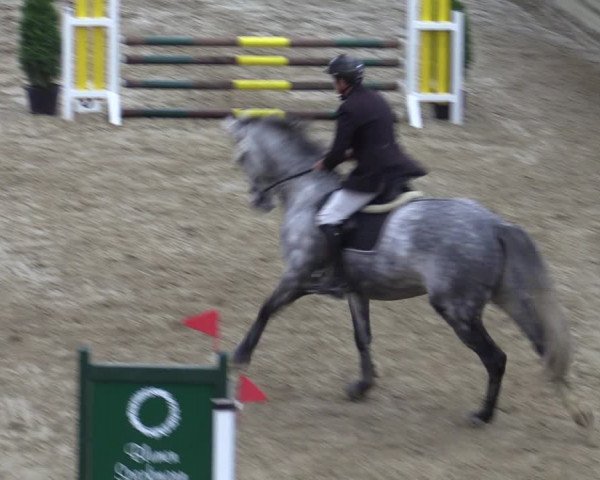 Reitturnier Oelde 2022