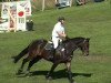 jumper Pajero 34 (German Sport Horse, 2004, from Potsdam)