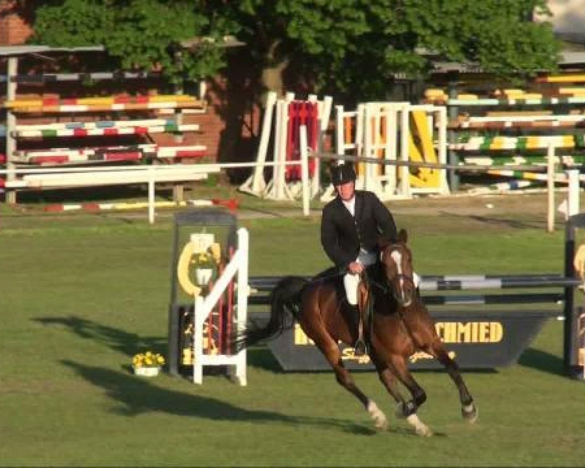 jumper Casanova (German Sport Horse, 2004, from Coolman)