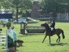 jumper Clooney 47 (German Sport Horse, 2005, from Collini)