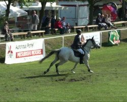 broodmare Candy AA (Anglo-Arabs, 2001, from Bazar ShA)