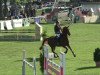 jumper Kopilot 3 (German Sport Horse, 2005)