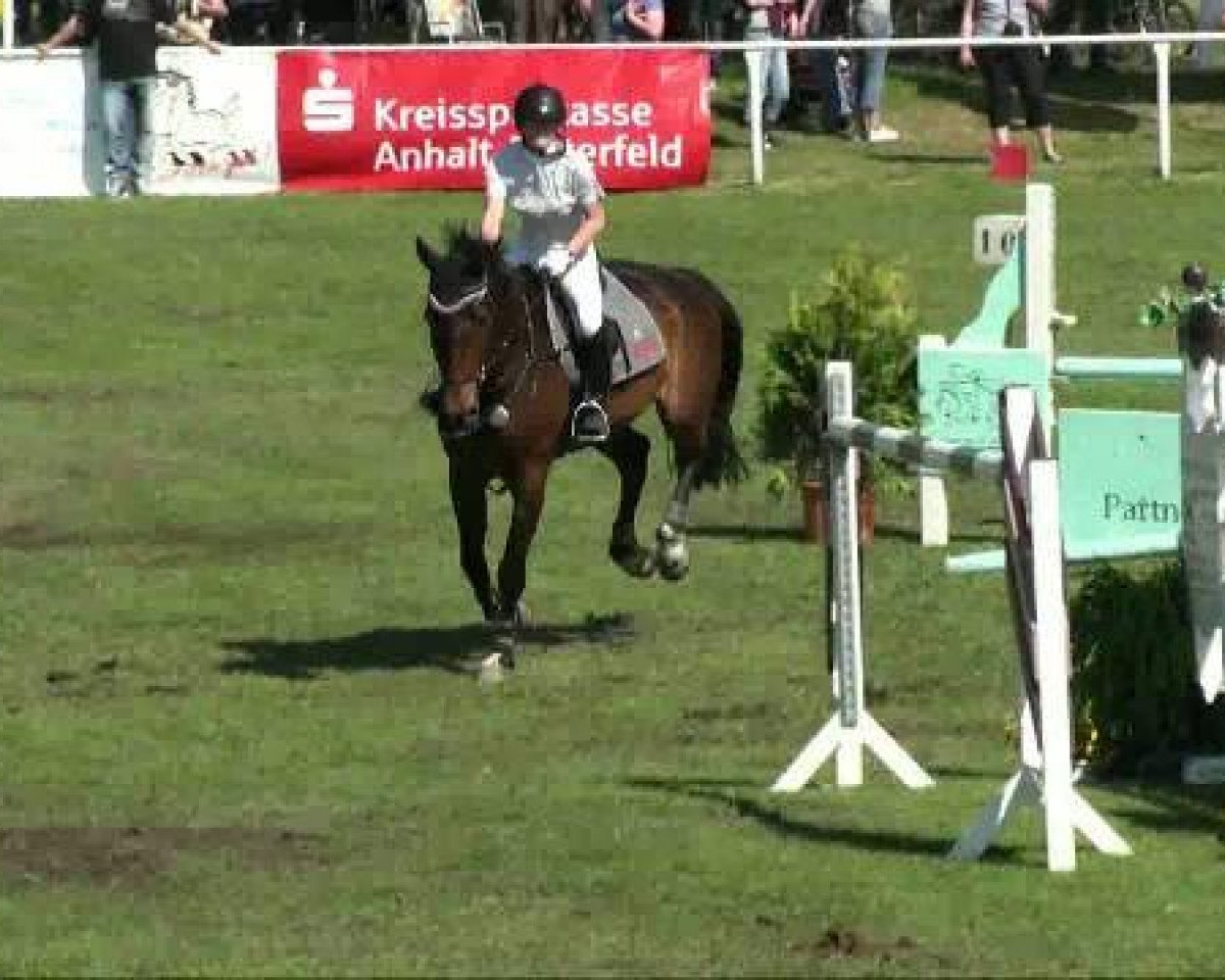 jumper La Douce (Oldenburg, 2001, from Lord Nobel S)